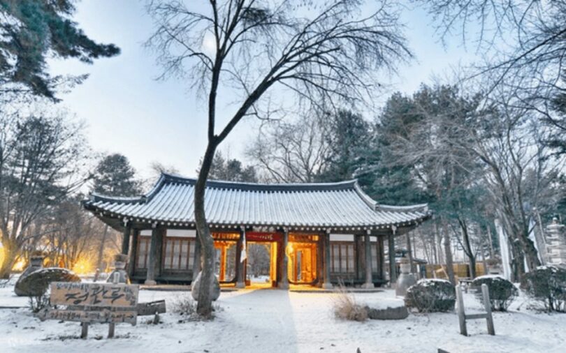 南怡島＝KLOOK(c)KOREA WAVE