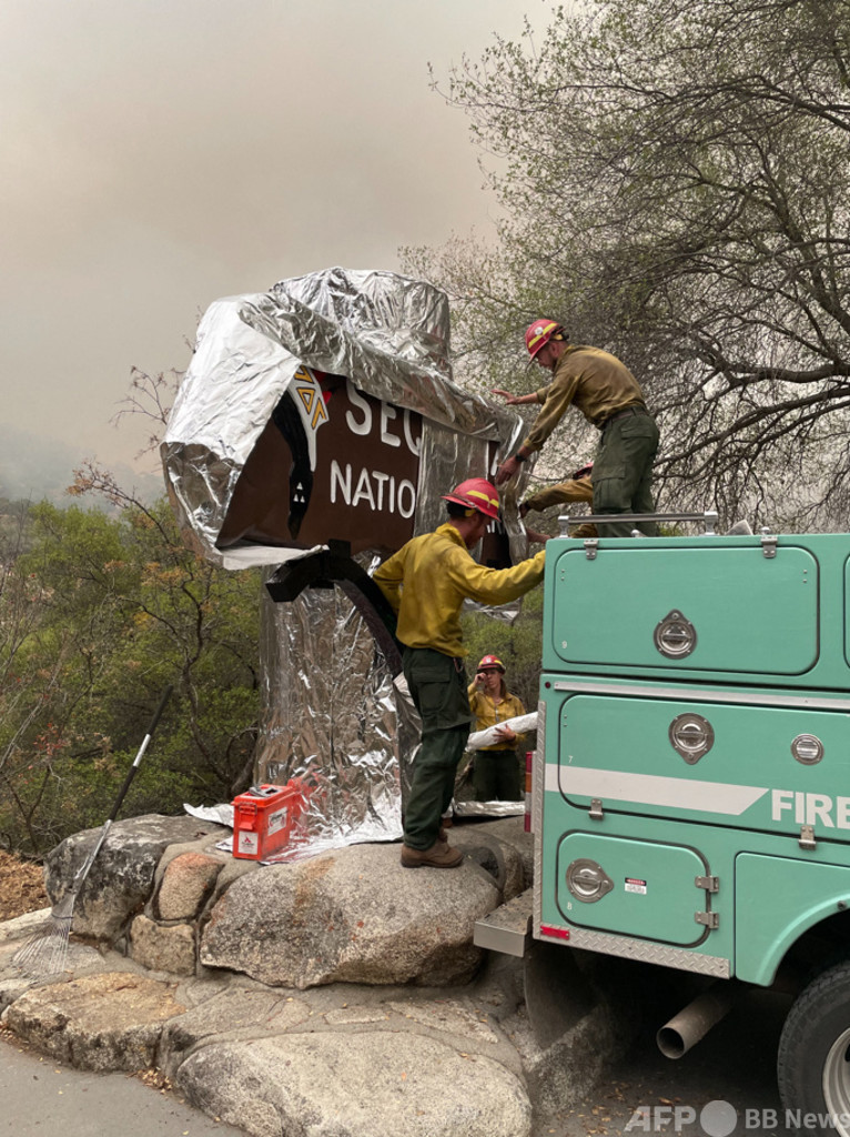 世界最大の木、耐火シート巻き山火事から保護 米加州