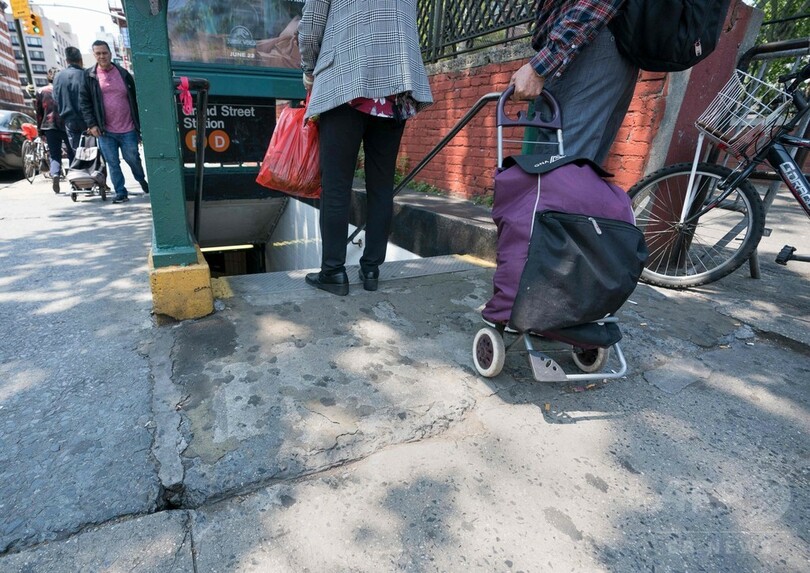 ネズミ駆除の新しい武器はドライアイス、米ニューヨーク