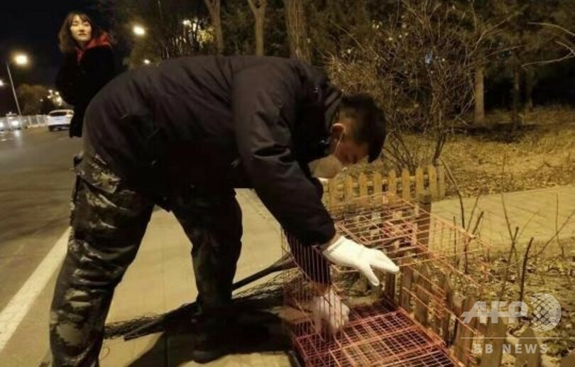 新しい家族と幸せに 道端で80日間たたずんでいた犬に新しい飼い主