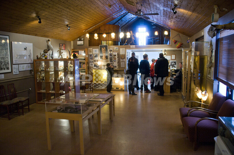 サイズがすべてだ！アイスランドの「ペニス博物館」