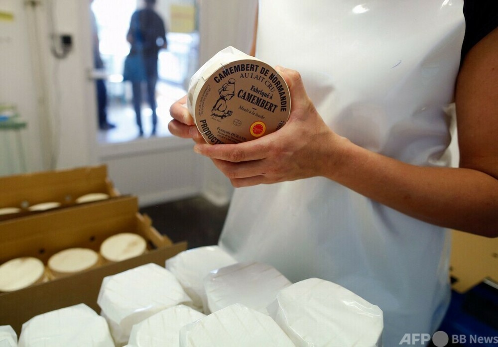チーズ王国フランスに焦り カマンベール脅かすモッツァレラ人気 写真2枚 国際ニュース Afpbb News
