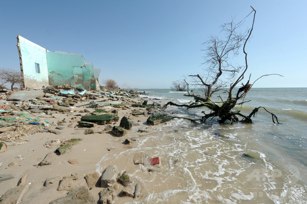 Algumas das características da espécie, flores que cheiram a alho e frutos que variam entre vermelho e roxo brilhante.
