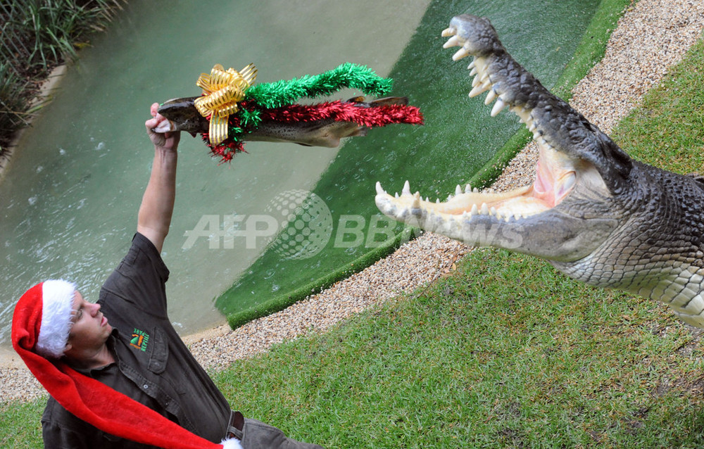 巨大ワニが芝刈り機を強奪、飼育員が恐怖の体験を語る オーストラリア