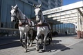 オーストリアの首都ウィーンで、インターコンチネンタル・ホテル前を走る馬車（2020年4月8日撮影）。(c)ALEX HALADA / AFP
