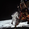 月着陸船「イーグル」から月面に降り立つエドウィン・オルドリン宇宙飛行士（1969年7月20日撮影）。(c) NASA / AFP