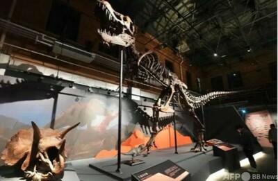 化石とアニメが共演 変わる中国の博物館 写真3枚 国際ニュース：AFPBB News