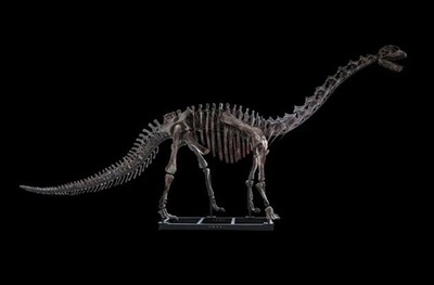 中国重慶市で発見した1億6600万年前の恐龍化石 新種と確認