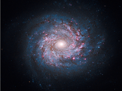 誕生間もない星のタペストリー、渦巻銀河NGC3982