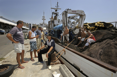 EUのマグロ禁漁前倒し、地中海の養殖業者が危機感
