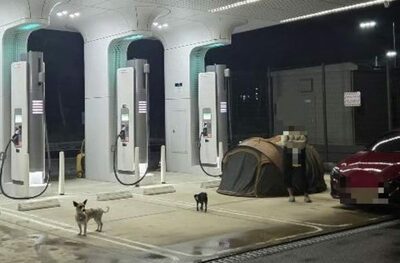 韓国・失われたマナー…電気自動車充電所で「無法キャンプ」＆「犬2匹放し飼い」という非常識行動