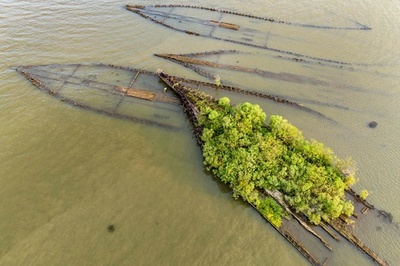 【今日の1枚】幽霊船に芽吹く命 米