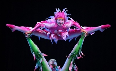 『シルク・ドゥ・ソレイユ』3D版は「夢の実現」、J・キャメロン氏