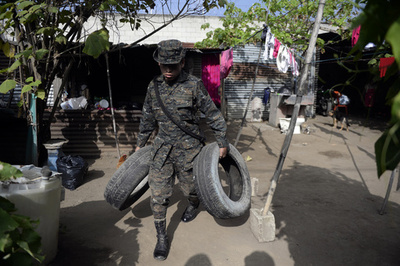 蚊の駆除、廃タイヤで産卵器を製作 従来型の7倍の効果