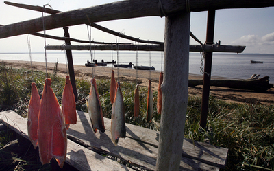 露裁判所、漁船拿捕事件で日本人船長に罰金刑