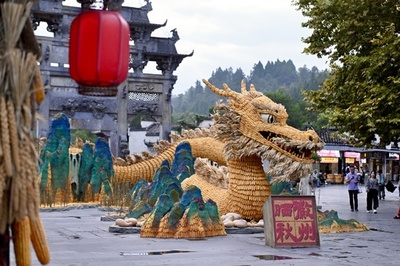 56メートルの「トウモロコシ龍」 安徽の古村に登場