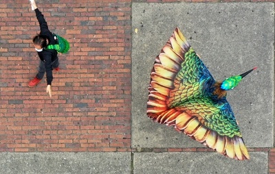 【今日の1枚】ハチドリは「対人距離」の伝道師