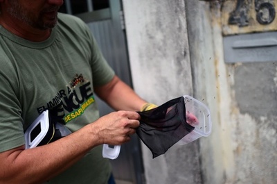 ブラジルのデング熱対策、「ワクチン接種」の蚊1万匹を放出