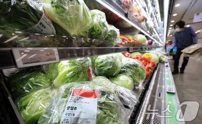 月収544万ウォンでも財布は固く…韓国・家計の「実質消費」3四半期連続で減少