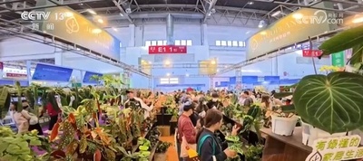 中国は世界最大の花卉生産国・消費国・貿易国
