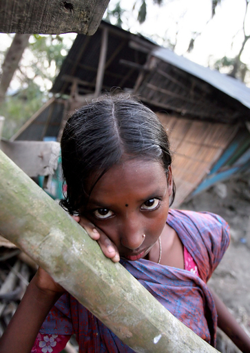 サイクロン「シドル」の被災地、伝染病と食料不足への懸念高まる