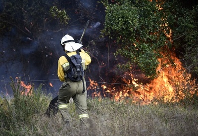 スペイン北部の130か所以上で山火事