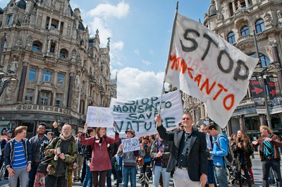 欧州はなぜ遺伝子組み換え作物を嫌うのか？