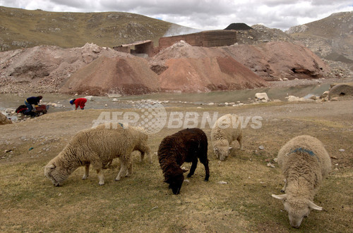 ペルーの鉱山 環境汚染で子どもに影響 写真枚 ファッション ニュースならmode Press Powered By Afpbb News