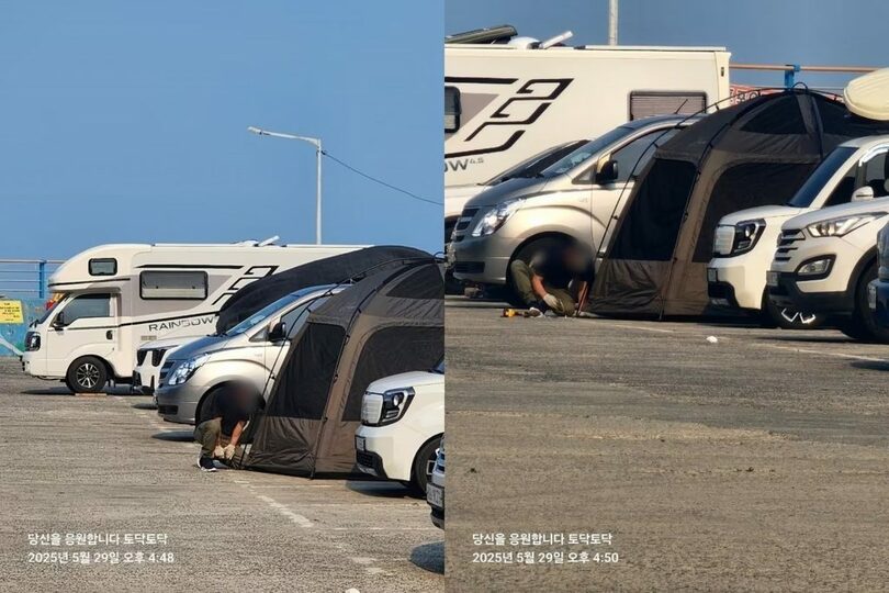 「ボベドリーム」(c)news1