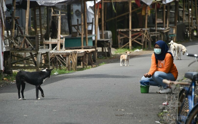 バリ島火山、危険区域に残された動物たちを愛護団体が救出