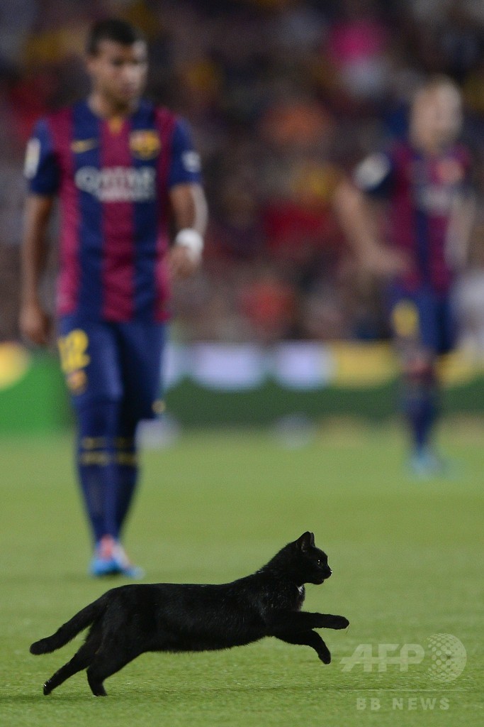 吉兆、それとも凶兆？バルサ開幕戦で黒猫がピッチに乱入