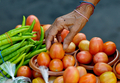 フィリピン・マニラ（Manila）の市場で売られる野菜（2009年4月7日撮影）。(c)AFP/JAY DIRECTO