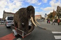 チェコ南東部ウヘルスケーフラジシュチェ（Uherske Hradiste）で、街行く人々の注目を浴びながら博物館に運ばれるマンモスの実物大レプリカ（2013年10月23日撮影）。(c)AFP/RADEK MICA