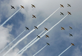 米ウィスコンシン（Wisconsin）州オシュコシュ（Oshkosh）で28日、エクスペリメンタル航空機協会（Experimental Aircraft Association）が主催する毎年恒例の航空ショーが開催された。写真は、編隊を組んで飛行する第二次世界大戦時の飛行機「warbirds」（2009年7月28日撮影）。(c)AFP/Getty Images/Jonathan Daniel