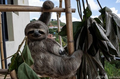 img_f4c853c9a792a0c578c8f1b86f