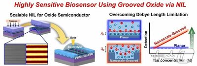 血液一滴でアルツハイマー早期診断可能なセンサー…韓国の研究チームが開発