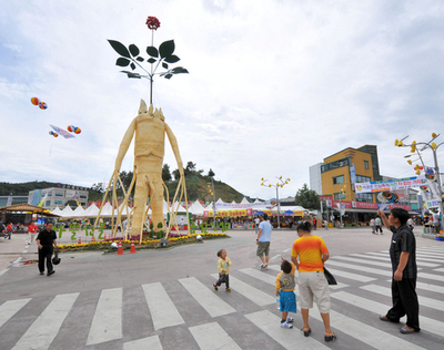 朝鮮ニンジン、野生のものは50グラムで3700万円！