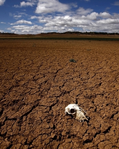 COP15のホットな情報を提供、世界11通信社が共同で特設サイト