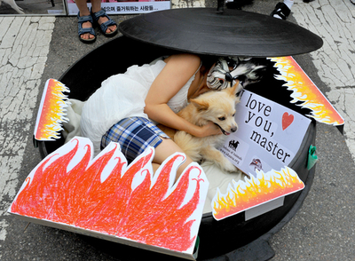 犬肉反対、韓国で動物愛護活動家がデモ
