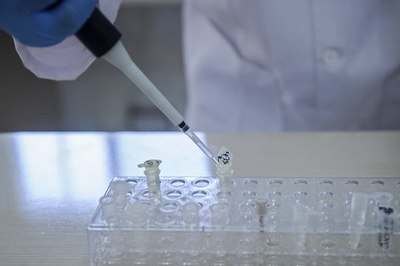 韓国で女性10人連続殺人の容疑者特定、30年越しの未解決事件