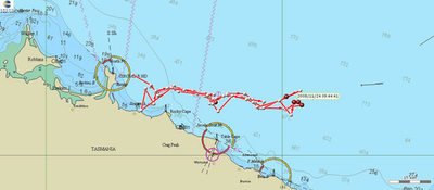 浜辺に乗り上げたクジラ12頭、陸路による決死の救出作戦 タスマニア