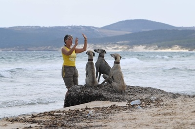 【今日の1枚】ビーチで訓練中 チュニジア