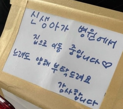 「新生児が家に帰ります。ノロノロ運転、ご了承を」…韓国・車に貼られたこの文言「合理的」か「開き直っている」か