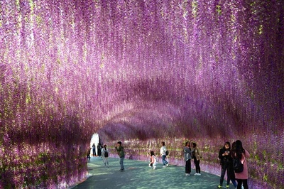 花のトンネルにうっとり、長さ200メートル 中国
