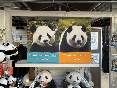 ジャイアントパンダの「シャオシャオ」と「レイレイ」 27日に日本から帰国