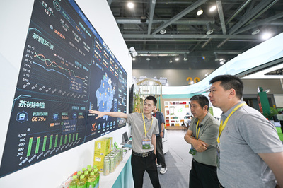 浙江省の茶葉輸出が好調　ブランド力と多様化で海外市場を開拓