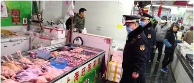 生きた鳥類の違法販売、取り締まりを強化 上海市当局