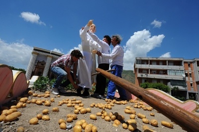 初のフランシスコ法王の像、ジャガイモ畑で公開
