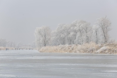 夏の漁に備え、川面から氷切り出す厳冬期 中国・東港市