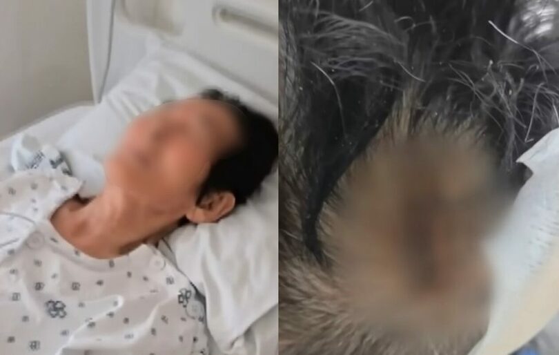 「事件班長」(c)news1